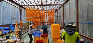 백용기님의 자유주제 · 자유게시판 작성글 사진