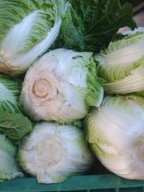 팜모닝 오늘 어떤 농작업하셨나요?·참여글 게시글 이미지