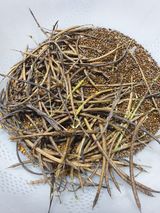 팜모닝 오늘 어떤 농작업하셨나요?·참여글 게시글 이미지