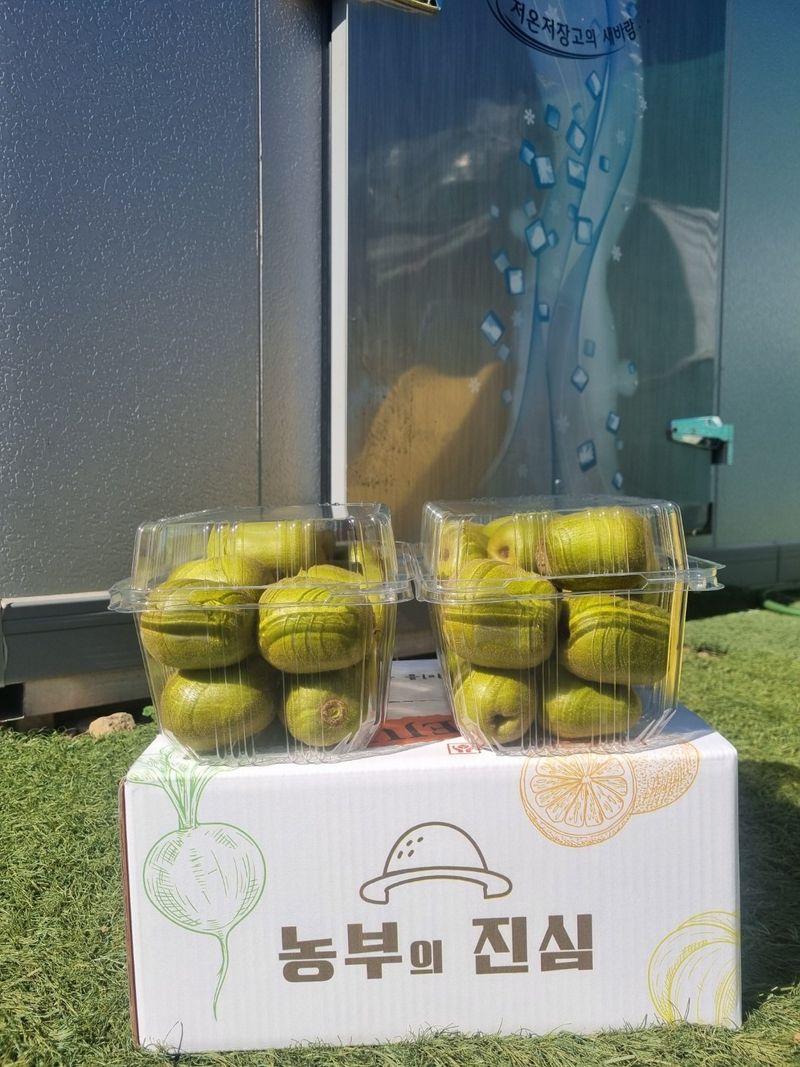 이승철님의 장터 판매 상품 [제주레드키위2.5kg] 첨부 사진