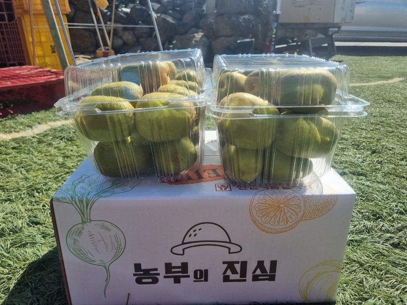 이승철님의 장터 판매 상품 [제주레드키위2.5kg] 첨부 사진