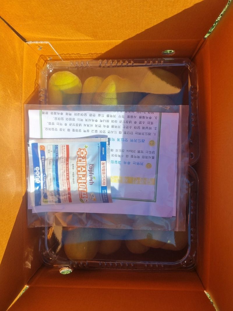 이승철님의 장터 판매 상품 [제주레드키위2.5kg] 첨부 사진