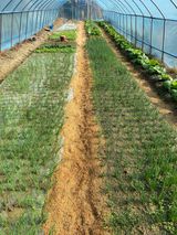 팜모닝 기타작물·자유게시판 게시글 이미지