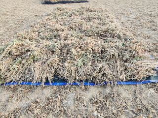 조효성님의 오늘 어떤 농작업하셨나요? · 참여글 작성글 사진