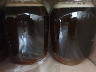 예천토종꿀벌 님의 작성글 사진