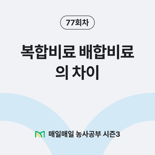 팜모닝 농사공부님의 매일매일 농사공부·자유게시판 작성글 사진