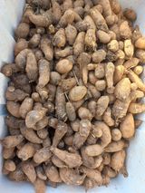 팜모닝 오늘 어떤 농작업하셨나요?·참여글 게시글 이미지