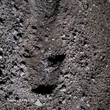 팜모닝 오늘 어떤 농작업하셨나요?·참여글 게시글 이미지