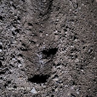 장유경만점자님의 오늘 어떤 농작업하셨나요? · 참여글 작성글 사진