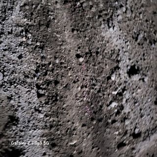 장유경만점자님의 오늘 어떤 농작업하셨나요? · 참여글 작성글 사진