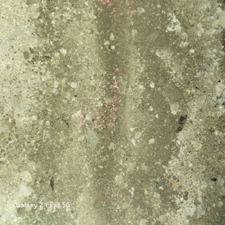 장유경만점자님의 오늘 어떤 농작업하셨나요? · 참여글 작성글 사진