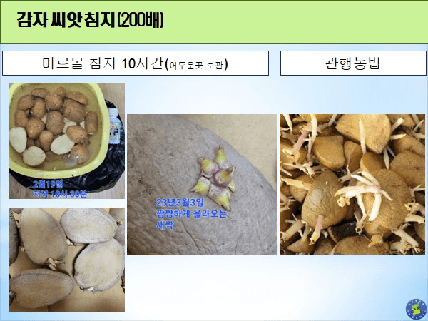 김둘점님의 장터 판매 상품 [미르몰(몰약비료)10리터] 첨부 사진