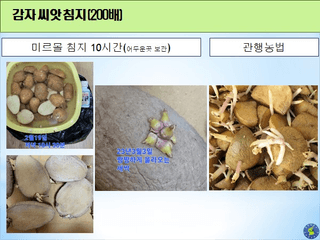 김둘점님의 작성글 사진