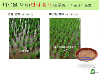 김둘점님의 작성글 사진