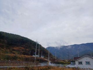 이상애초보농업님의 배추 · 일상 작성글 사진