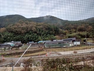 이상애초보농업님의 배추 · 일상 작성글 사진