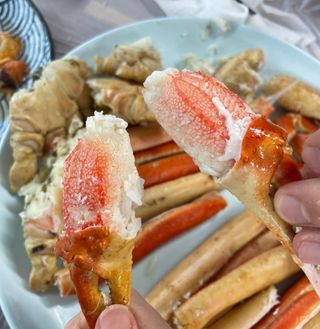 노가네수산님의 우리동네 · 동네정보 작성글 사진