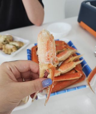 노가네수산님의 우리동네 · 동네정보 작성글 사진