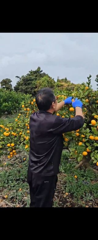 이병현님의 작성글 사진