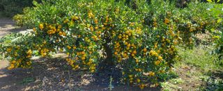 이병현님의 작성글 사진