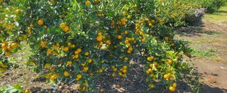 이병현님의 작성글 사진