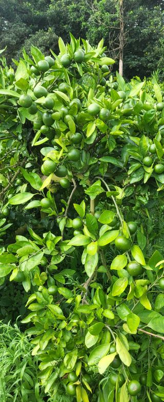 이병현님의 작성글 사진