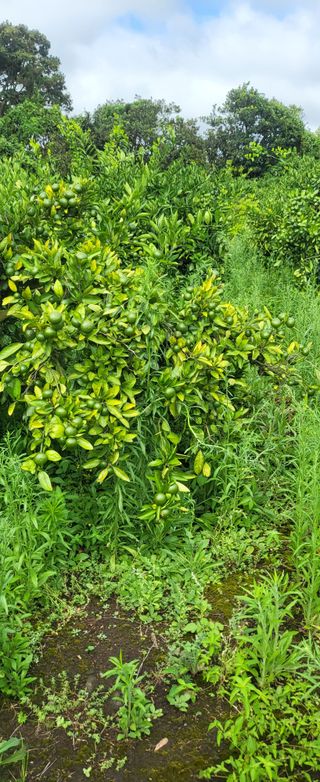 이병현님의 작성글 사진