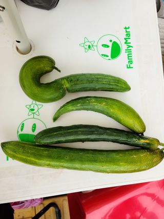 여행가자님의 팜모닝 · 출석 작성글 사진