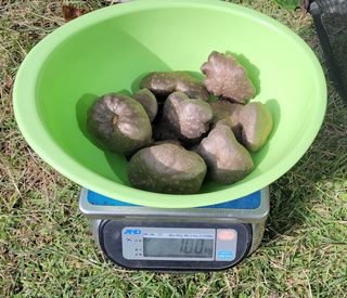 김중언님의 작성글 사진