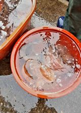 팜모닝 우리동네·동네수다 게시글 이미지