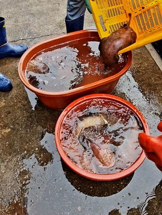 노가네수산님의 우리동네 · 동네수다 작성글 사진