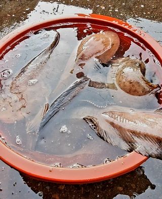 노가네수산님의 우리동네 · 동네수다 작성글 사진