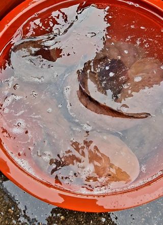 노가네수산님의 우리동네 · 동네수다 작성글 사진