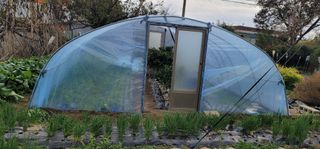 삼례텃밭지기님의 오늘 어떤 농작업하셨나요? · 참여글 작성글 사진