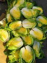 팜모닝 오늘 어떤 농작업하셨나요?·참여글 게시글 이미지