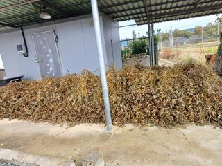 시골을사랑하는경희님의 오늘 어떤 농작업하셨나요? · 참여글 작성글 사진