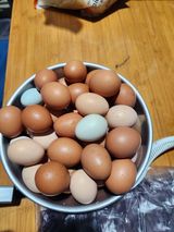 팜모닝 · 게시글 이미지