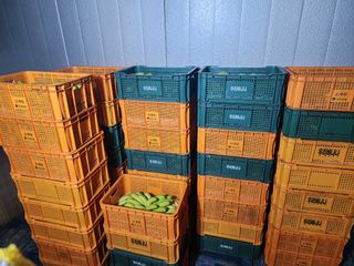 정기영님의 오늘 어떤 농작업하셨나요? · 참여글 작성글 사진