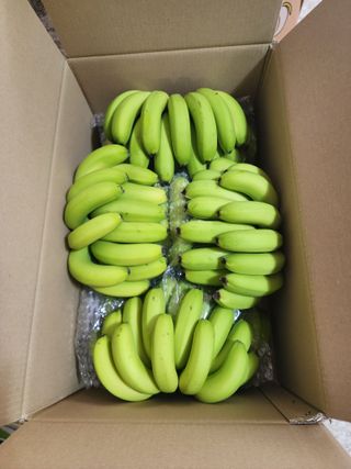 정기영님의 오늘 어떤 농작업하셨나요? · 참여글 작성글 사진