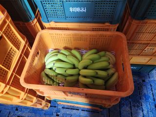 정기영님의 오늘 어떤 농작업하셨나요? · 참여글 작성글 사진