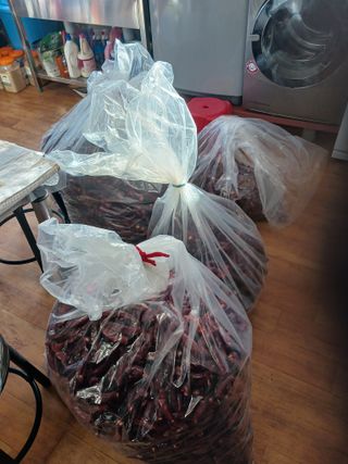 알 수 없음님의 자유주제 · 사진전 작성글 사진