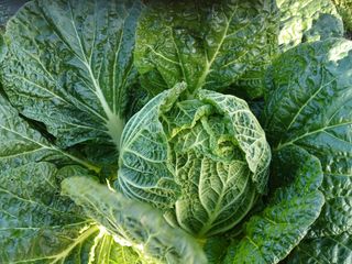 알 수 없음님의 자유주제 · 사진전 작성글 사진