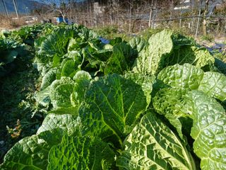 알 수 없음님의 자유주제 · 사진전 작성글 사진