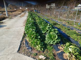 알 수 없음님의 자유주제 · 사진전 작성글 사진
