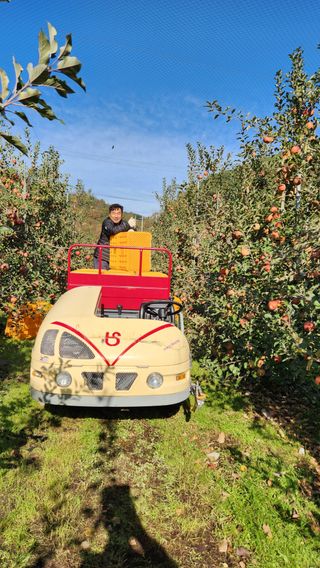 황금농원님의 오늘 어떤 농작업하셨나요? · 참여글 작성글 사진