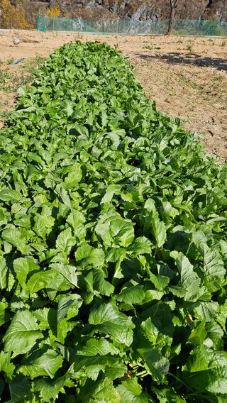 홍&이님의 자유주제 · 자유게시판 작성글 사진