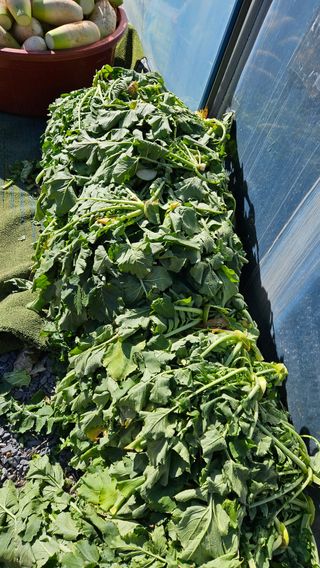 홍&이님의 자유주제 · 자유게시판 작성글 사진