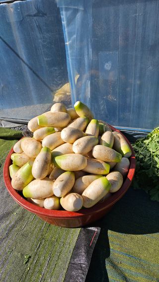 홍&이님의 자유주제 · 자유게시판 작성글 사진