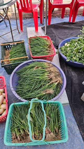 홍&이님의 자유주제 · 자유게시판 작성글 사진