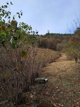 팜모닝 오늘 어떤 농작업하셨나요?·참여글 게시글 이미지